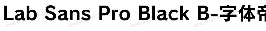 Lab Sans Pro Black B字体转换